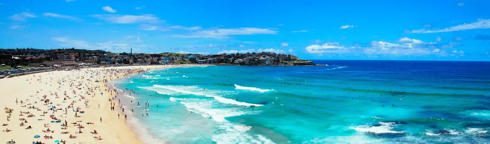 bondi 1