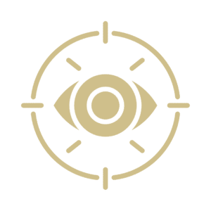 VISION DIRECTION